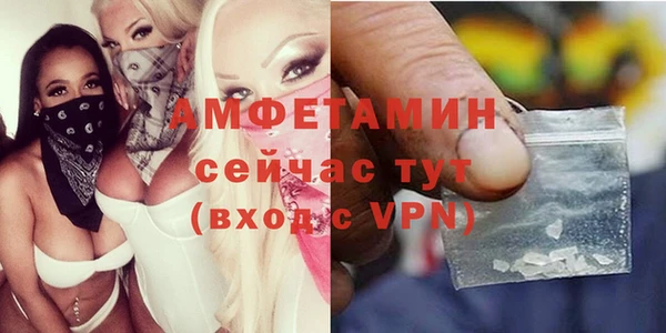 трава Балахна